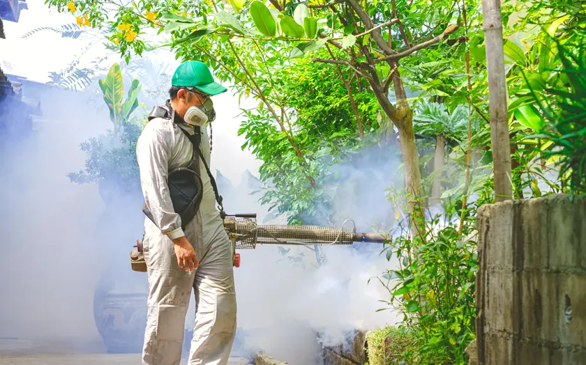 Tratamiento de mosquito tigre en Terrassa — BioCare